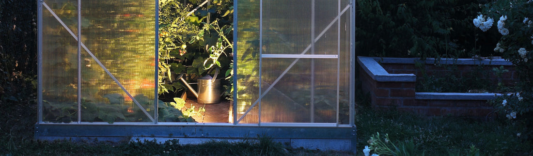 HOW TO MAKE THE MOST OF YOUR GREENHOUSE