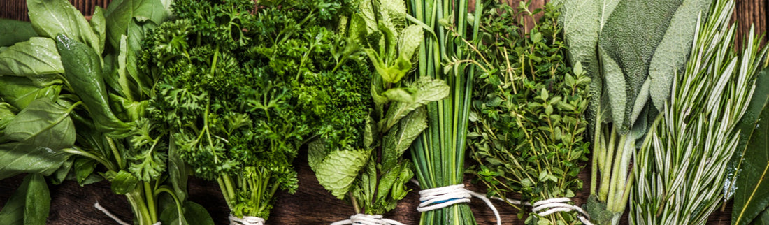 GREAT HERBS TO GROW IN YOUR GARDEN THIS SUMMER