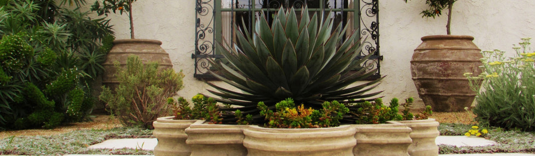 MEDITERRANEAN STYLE GARDENS