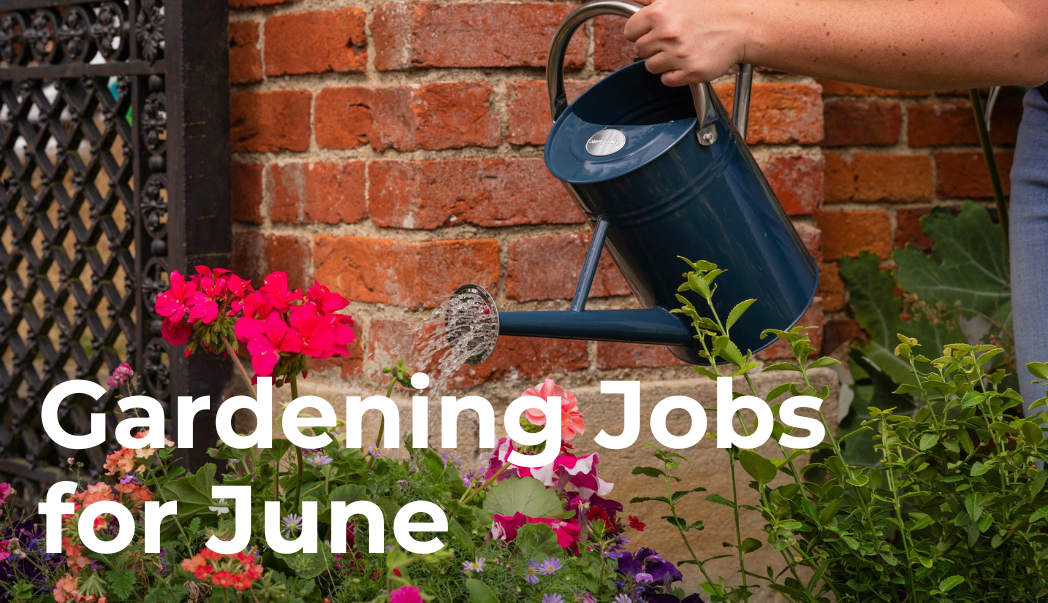 June Gardening Tasks