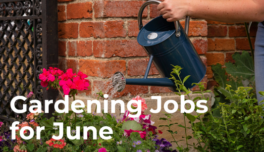 June Gardening Tasks