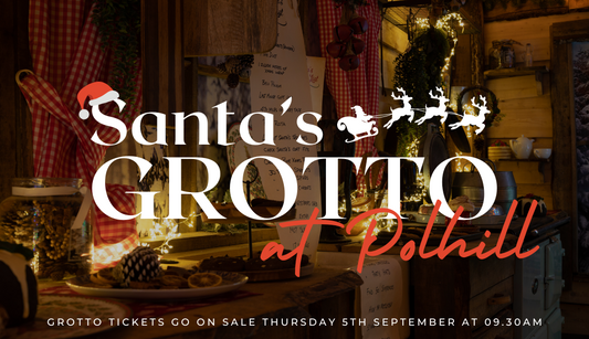 Santa's Grotto Experience 2024