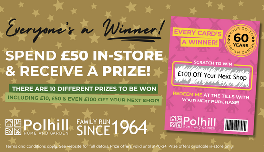 Everyone's a Winner Scratchcards at Polhill Garden Centre