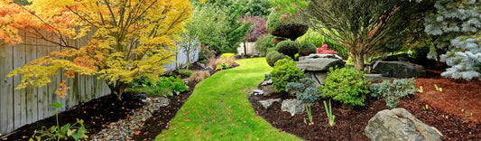 TRANSFORMING YOUR GARDEN FOR SUMMER