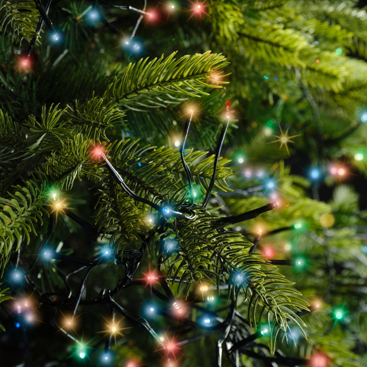 Christmas Lights