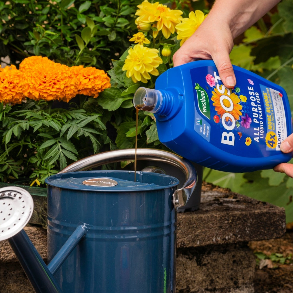 Plant Fertilisers