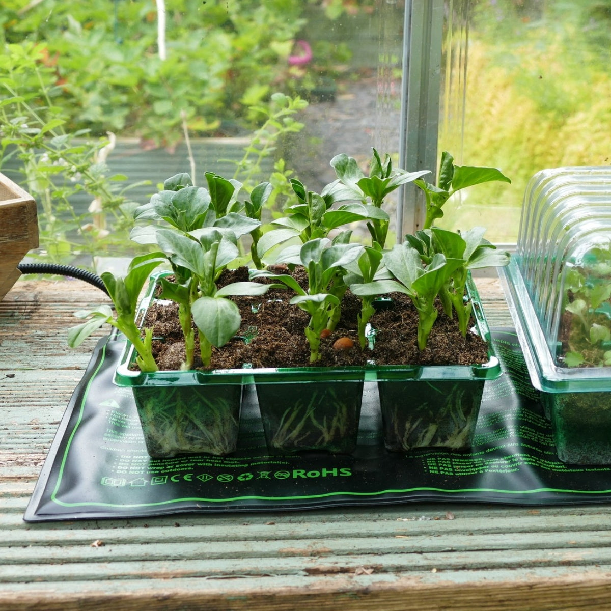 Growhouses & Propagation Tools