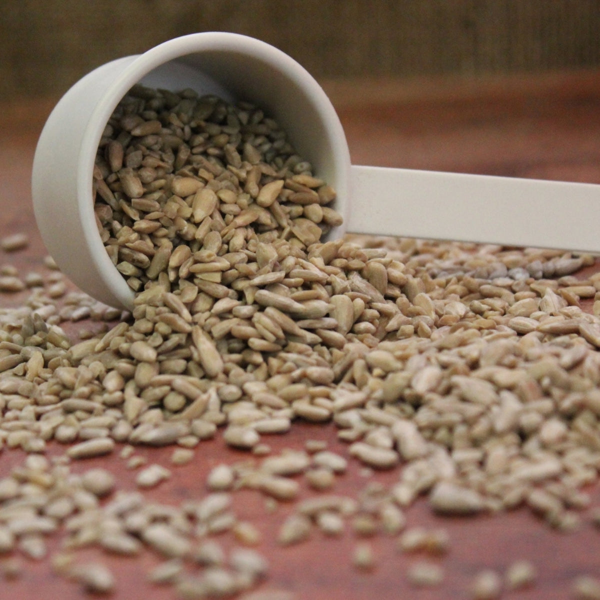 Wild Bird Food