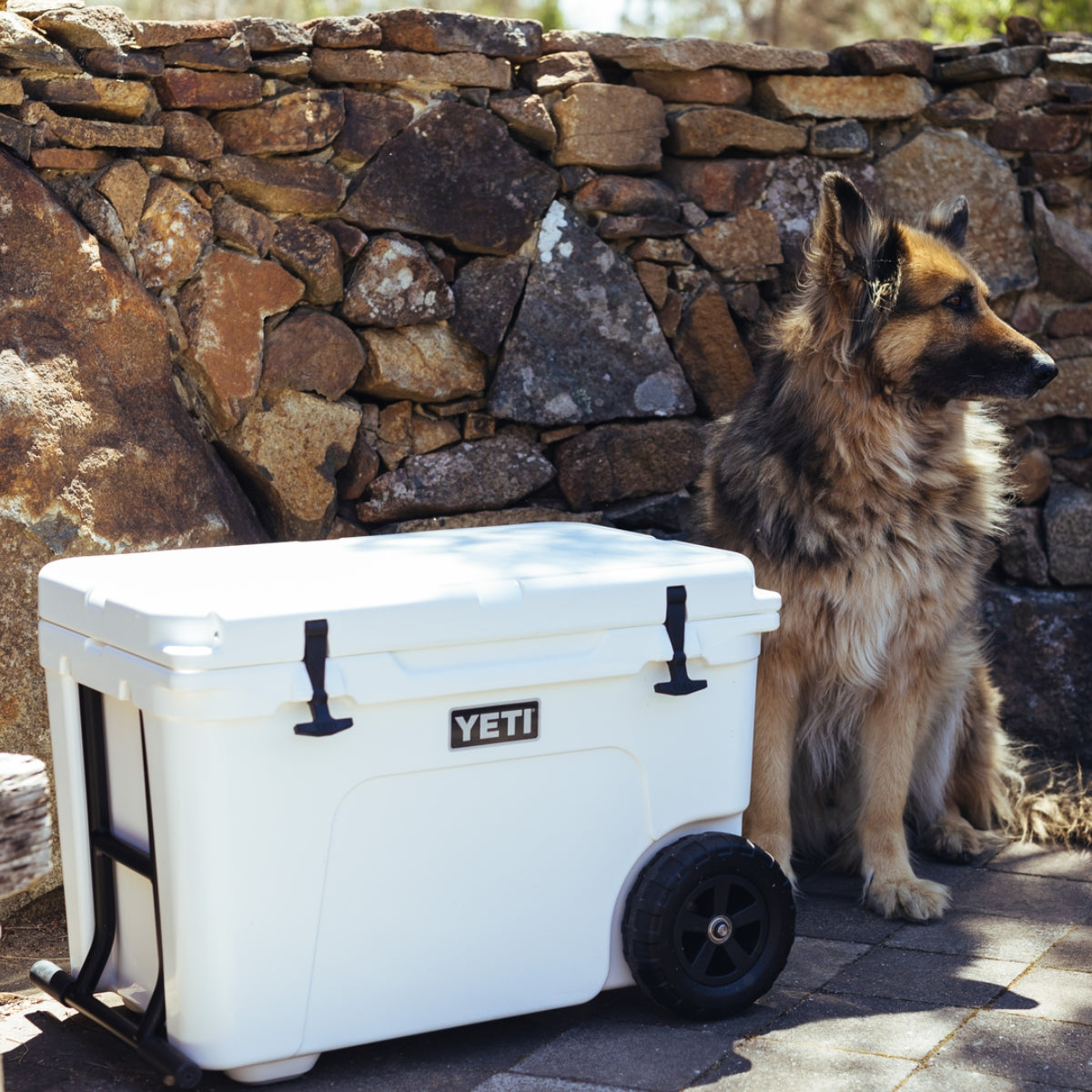 YETI Cooler Boxes & Bags