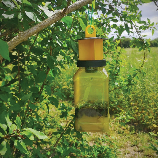 Zero In Re-Usable Fly Catcher Twin Pack