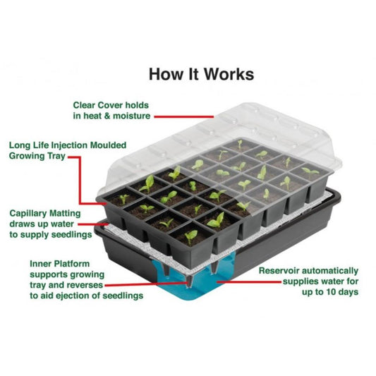 24 Cell Self Watering Seed Success Kit