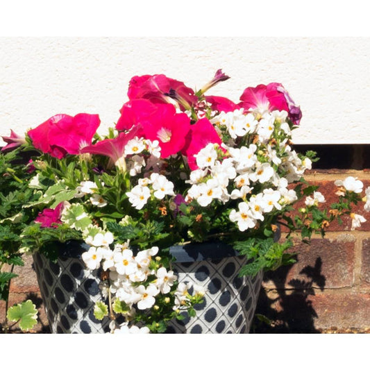 27Cm Quilt Bellpot Planter
