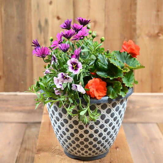 27Cm Quilt Bellpot Planter