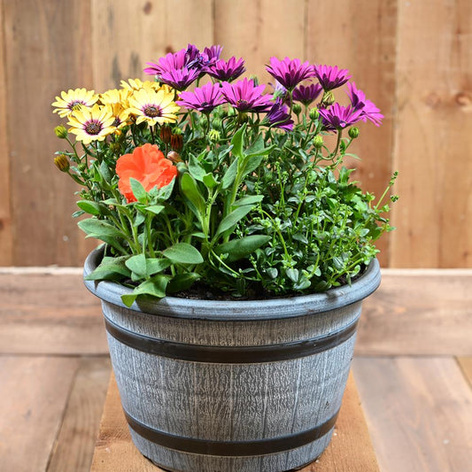 30Cm Barrel Planter