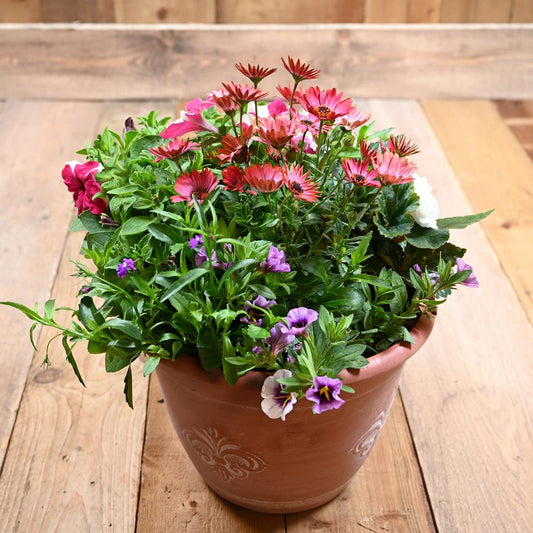 30cm Fleur De Lys Planter
