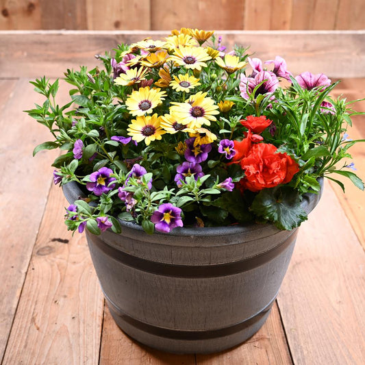 40Cm Barrel Planter