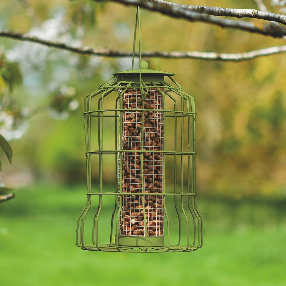 Chapelwood Original Squirrel Proof Peanut Feeder