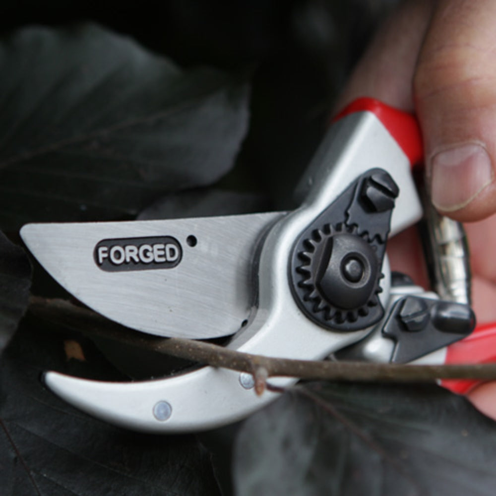 Darlac Expert Drop Forged Pruner