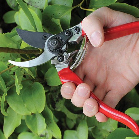 Darlac Professional Pruner