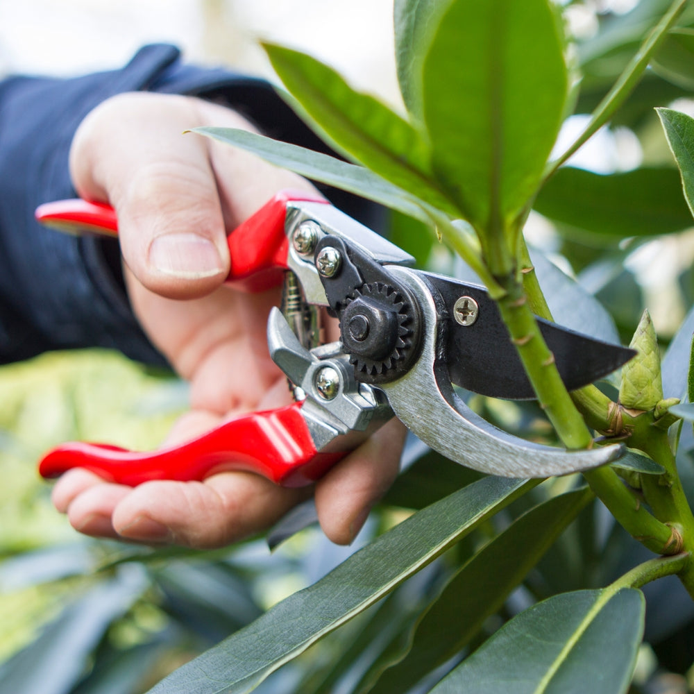 Darlac Professional Left Hand Pruner