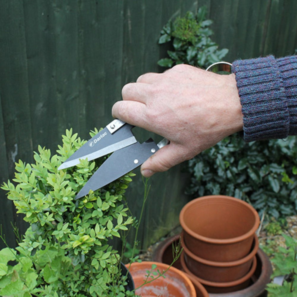 Darlac Stainless Steel Topiary Shear