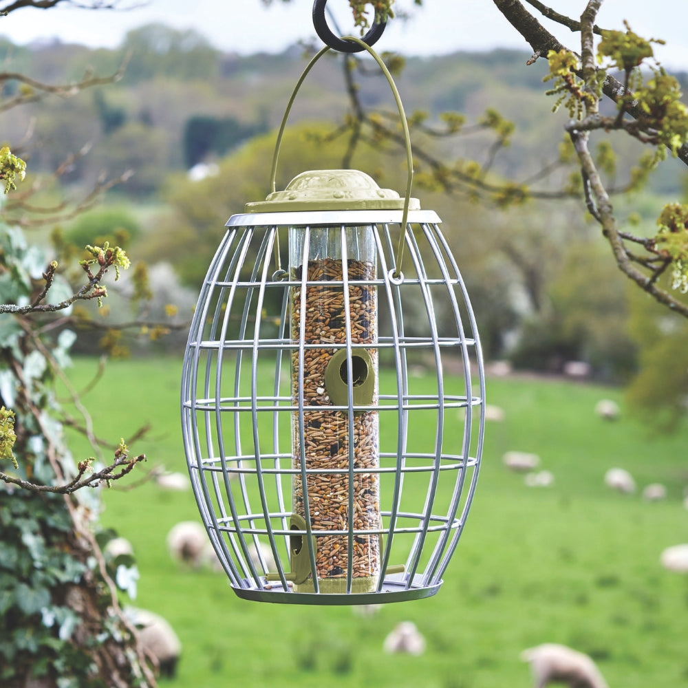 Chapelwood Ultra Squirrel Proof Seed Feeder