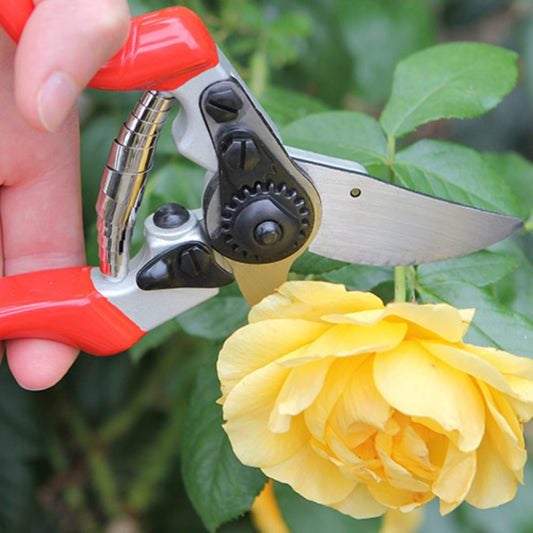 Darlac Expert Left Hand Pruner