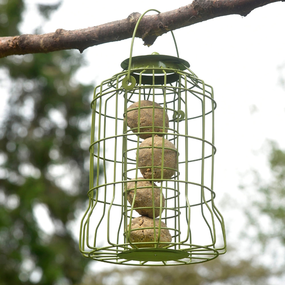 Chapelwood Squirrel Proof Suet Ball Feeder