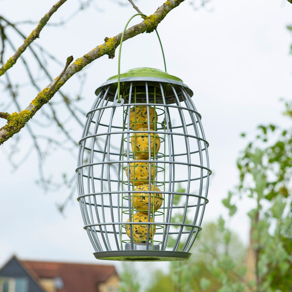 Chapelwood Ultra Squirrel Proof Suet Ball Feeder