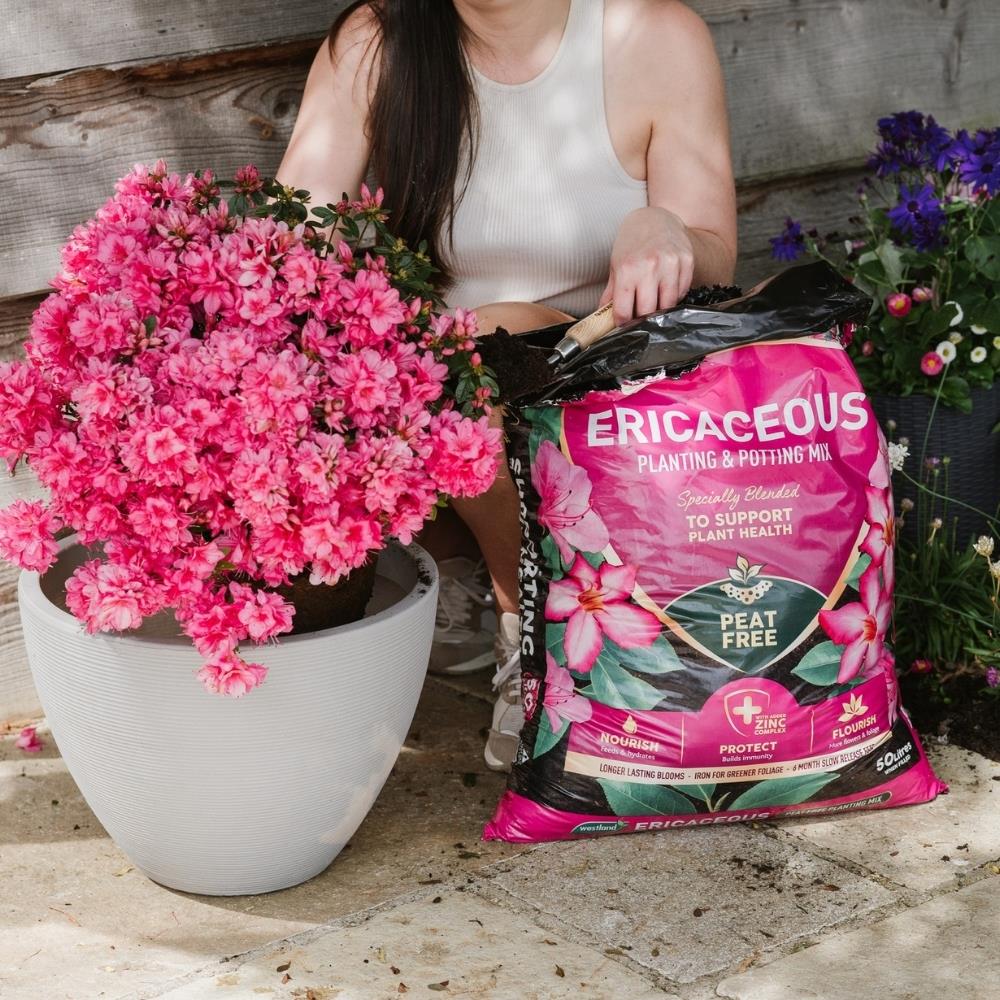 Ericaceous Planting & Potting Mix 50L