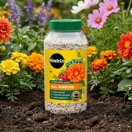 Miracle-Gro Premium All Purpose Continuous Release Plant Food 900g