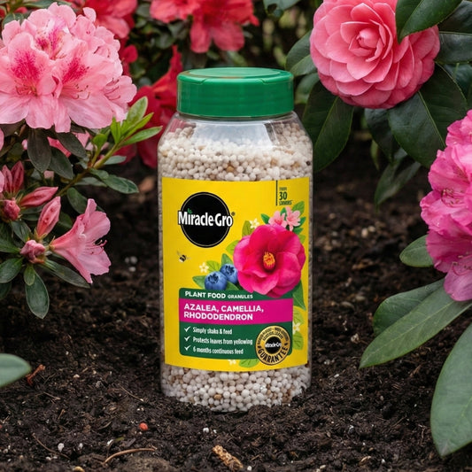 Miracle-Gro Premium Azalea, Camellia & Rhododendron Continuous Release Plant Food 900g