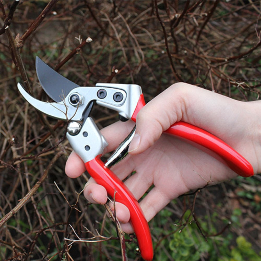 Darlac Expert Bypass Medium Pruner