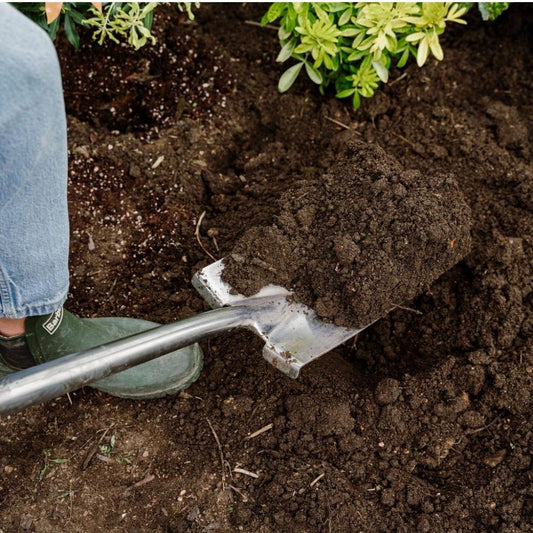 Westland Soil Improver 50L