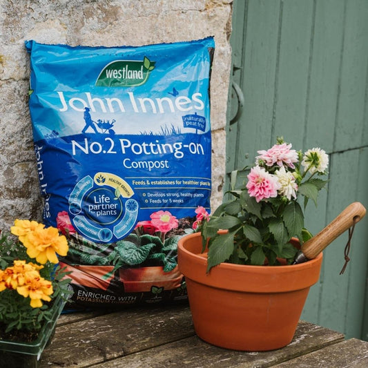 John Innes Peat Free No.2 Potting-on Compost 28L