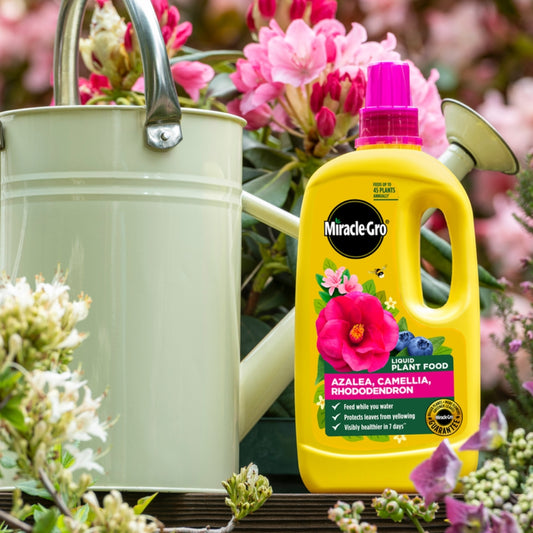 Miracle-Gro Azalea, Camellia & Rhododendron Concentrated Liquid Plant Food 800ml