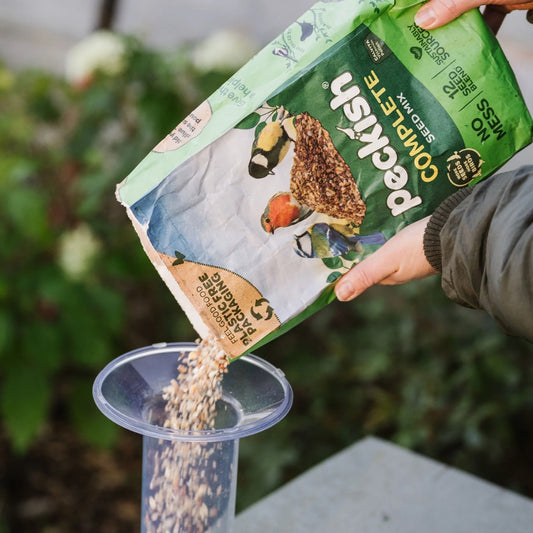 Peckish Funnel Seed Bird Feeder