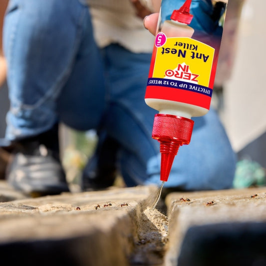 Zero In Liquid Ant Nest Killer 500ml