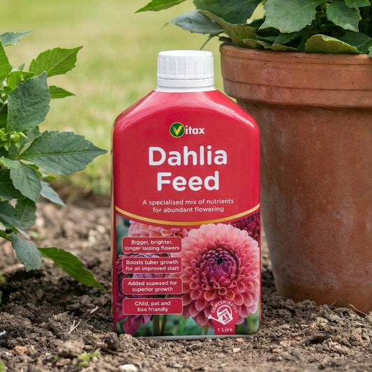 Vitax Dahlia Liquid Feed Concentrate 1L
