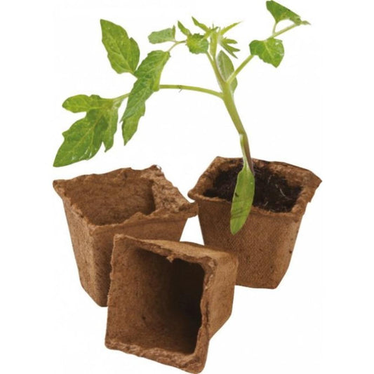 80 x 6cm Square Fibre Pots Extra Value Pk