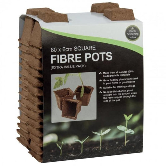 80 x 6cm Square Fibre Pots Extra Value Pk