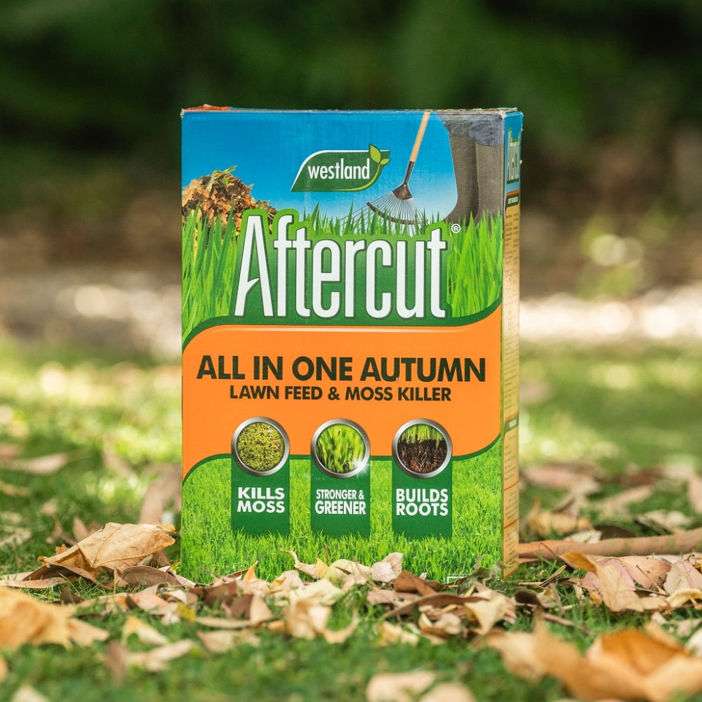 Aftercut All In One Autumn Lawn Feed & Moss Killer 80m²