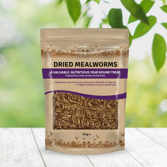 Berry Dried Mealworms Bird Food 1kg