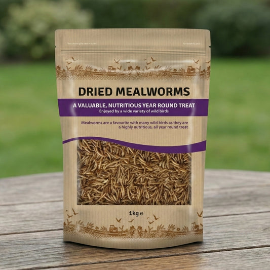 Berry Dried Mealworms Bird Food 1kg