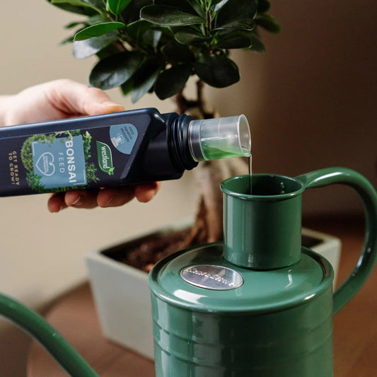 Westland Bonsai Feed Concentrate 200ml