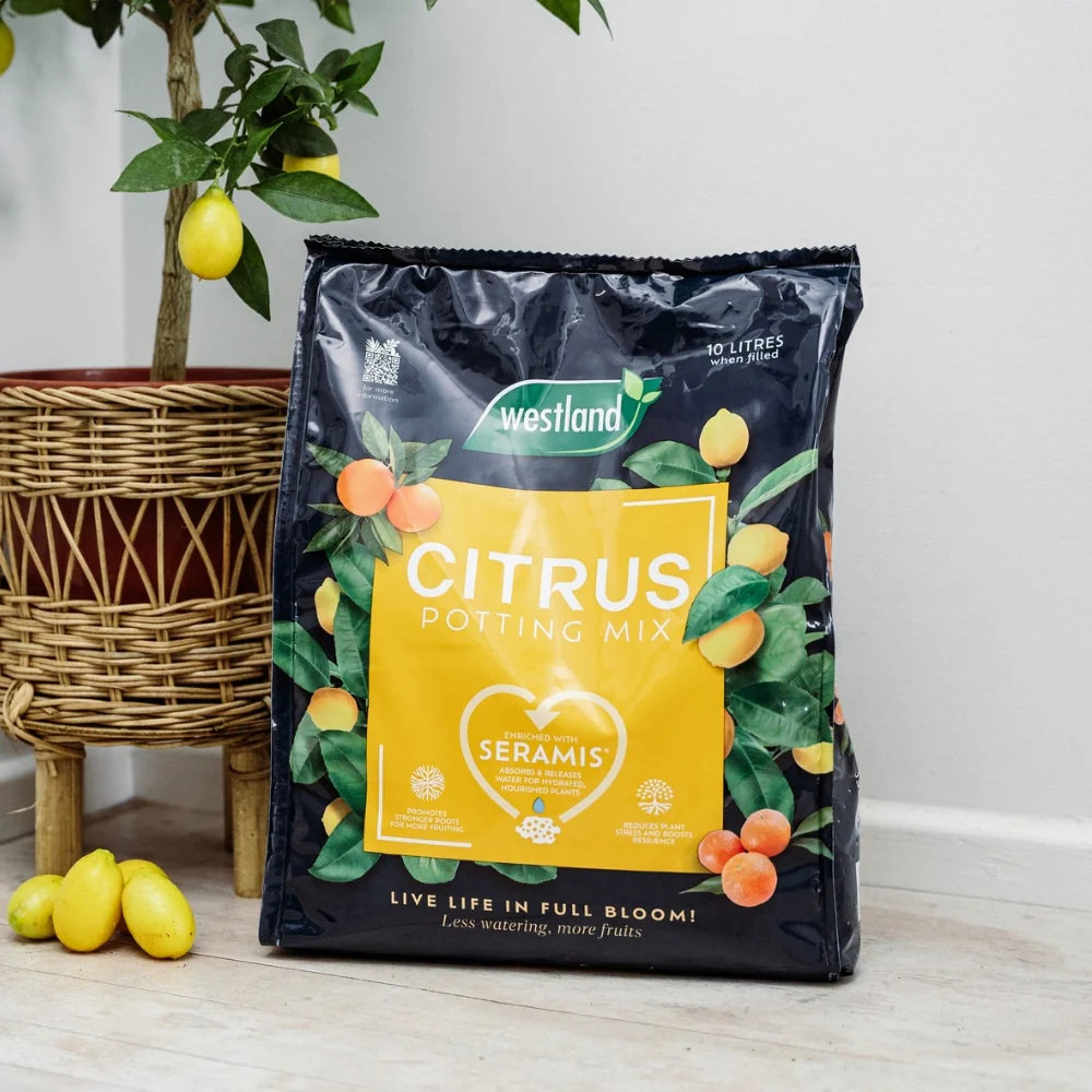 Westland Citrus Potting Mix 10L