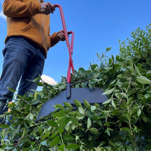 Darlac Grab-N-Lift Long Handled Leaf Grabber