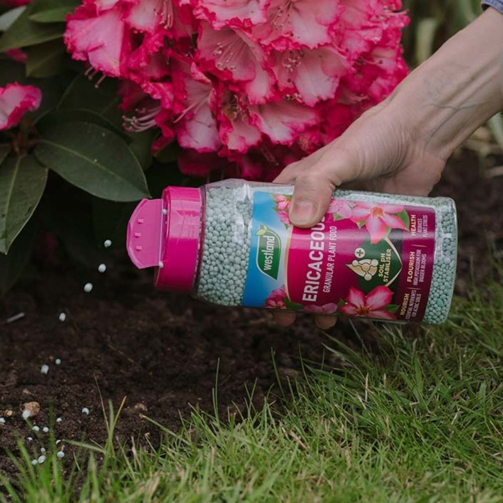 Westland Ericaceous Plant Food Granules Jar 900g