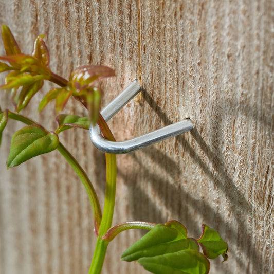 Galvanised Staples 25mm 100 Pack