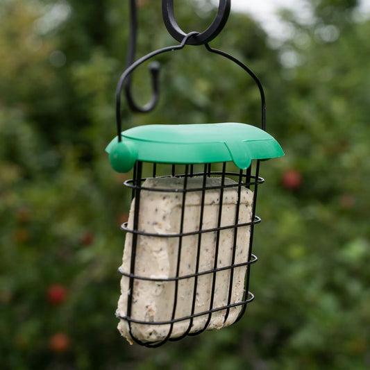 Gardman Flip Top Suet Feast Bird Feeder